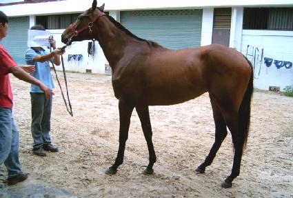 �Ϻ���õ ����