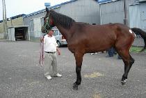 ������Ʈ (DOUBLE HIT) ����