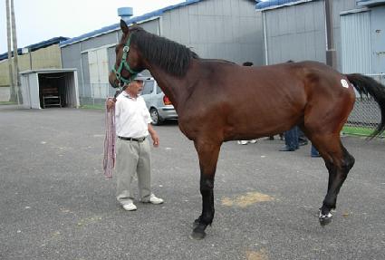 ������Ʈ ����