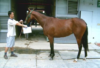 ���ȶ���Ʈ ����