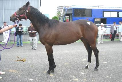 ������Ʈ ����