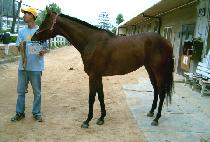 �ϱ��� (ILGWANGSA) ����