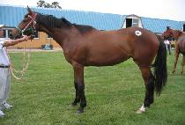 �ұ� (SOGYO) ����