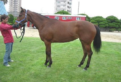 �϶� ����