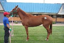 ���۷� (SEOKSONGRYEONG) ����