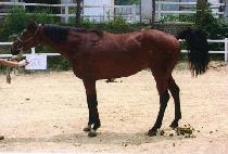 ��������Ʈ (HEAVEN��S GIFT) ����