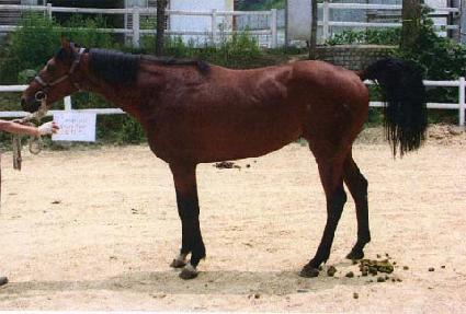 ��������Ʈ ����