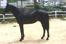 Ű�����丮 (KEY TO VICTORY) ����