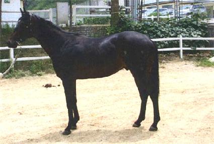 Ű�����丮 ����