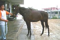 �ҿ� (SOYEONG) ����