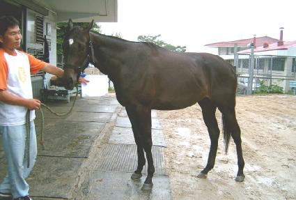 �ҿ� ����