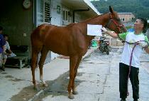 ���ٱ��� (HIDDAKA RUBY) ����