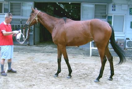 ö�ǿ��� ����