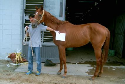 �������� ����