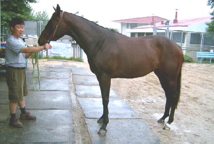 ���� ����