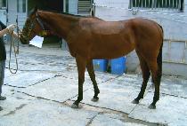 ��Ƽ�÷��� (BEAUTY PLUS) ����