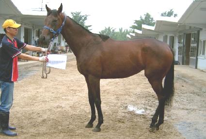 �������� ����