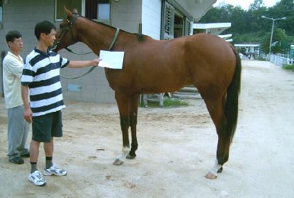 ��Ī�� ����