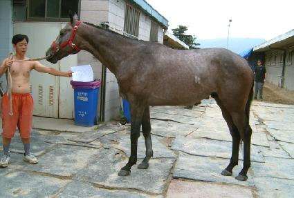 ���ʷκ� ����