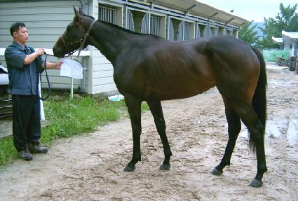 ķ���������� ����