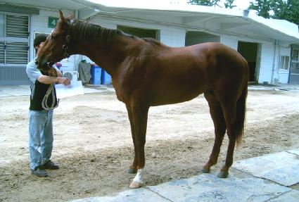 �ͽ�Ʈ������Ʈ ����