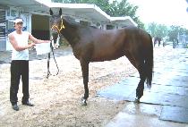 ���Ѽ��� (MUHAN SURYEOK) ����