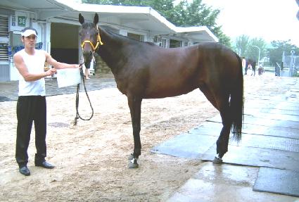 ���Ѽ��� ����