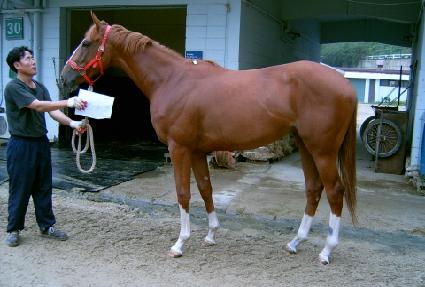 ����Ƽ��ũ ����