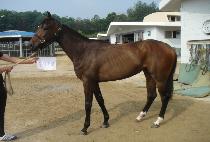 ��Ƽ���� (BEAUTY SLEEP) ����