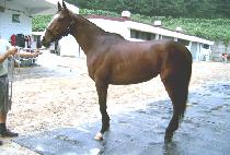 ��������ĵ�� (BALIZE KANDI) ����