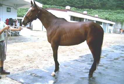 ��������ĵ�� ����