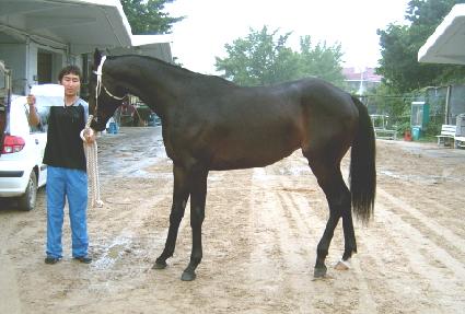 Ÿ����� ����