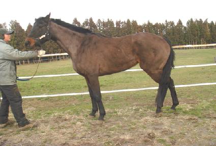 �׷����н� ����