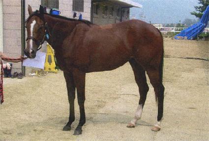 ���ͽ������� ����