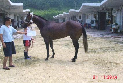 �̽�����ĳ�� ����