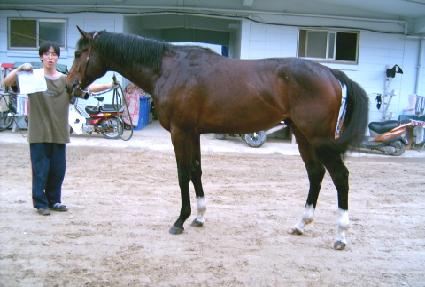 ���丮���� ����