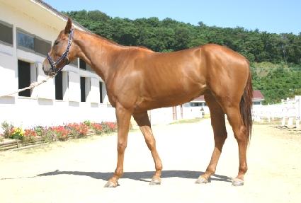 �ְ��� ����