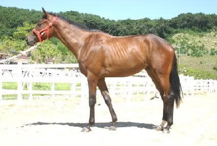 �۷ι�����Ŀ ����