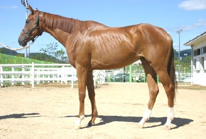 �������� ����