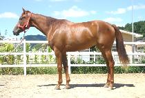 �����ο� (JIHYEROUN) ����