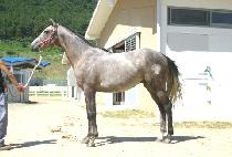 �۹���û (SONGBAEKJANGCHEONG) ����