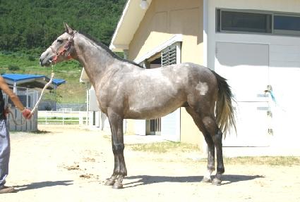 �۹���û ����