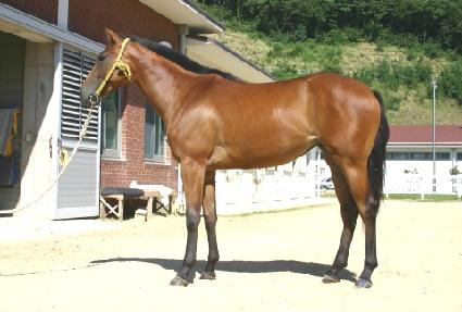 ��ǳ��� ����