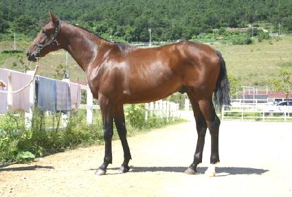 ö��ö�� ����