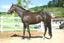 ���սºλ� (ILHAP SEUNGBUSA) ����