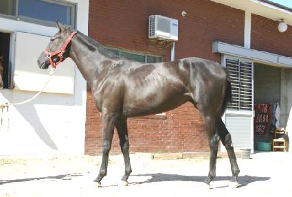 �����ϳ� ����