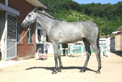 ���л� ����