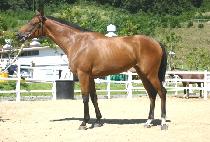 �����꼺 (DONGRAE SANSEONG) ����