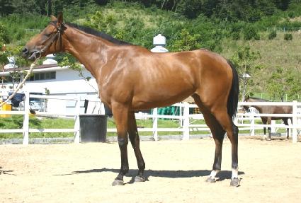 �����꼺 ����