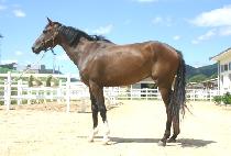 �������� (DAEHAN HAEHYEOP) ����